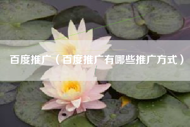 百度推广（百度推广有哪些推广方式）