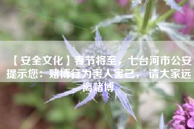 【安全文化】春节将至，七台河市公安提示您：赌博行为害人害己， 请大家远离赌博