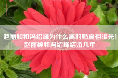赵丽颖和冯绍峰为什么离的婚真相曝光！赵丽颖和冯绍峰结婚几年