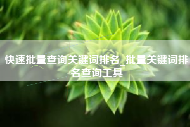 快速批量查询关键词排名_批量关键词排名查询工具