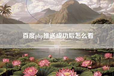 百度php推送成功后怎么看