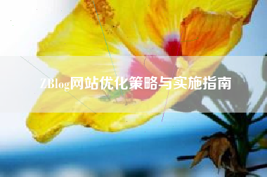 ZBlog网站优化策略与实施指南