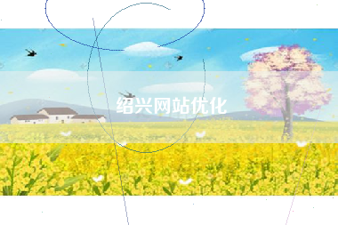 绍兴网站优化