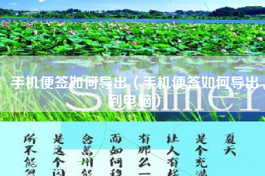 手机便签如何导出（手机便签如何导出到电脑）