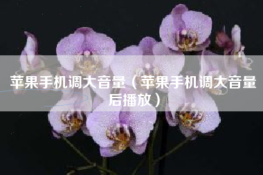 苹果手机调大音量（苹果手机调大音量后播放）