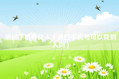 通过手机号找人（通过手机号可以找到人吗）