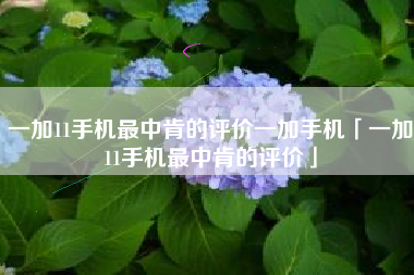 一加11手机最中肯的评价一加手机「一加11手机最中肯的评价」
