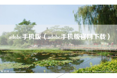 adobe手机版（adobe手机版官网下载）