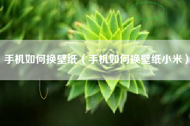 手机如何换壁纸（手机如何换壁纸小米）