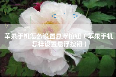 苹果手机怎么设置悬浮按钮（苹果手机怎样设置悬浮按钮）
