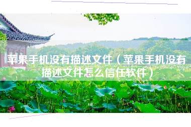 苹果手机没有描述文件（苹果手机没有描述文件怎么信任软件）