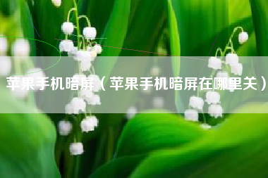 苹果手机暗屏（苹果手机暗屏在哪里关）