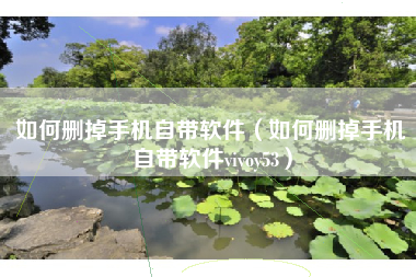 如何删掉手机自带软件（如何删掉手机自带软件vivoy53）
