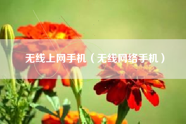 无线上网手机（无线网络手机）