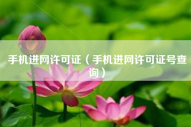 手机进网许可证（手机进网许可证号查询）