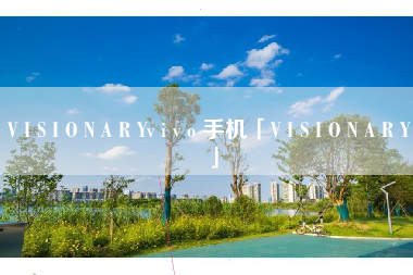 V I S I O N A R Yv i v o 手机「V I S I O N A R Y」