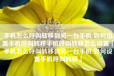 手机怎么呼叫转移到另一台手机 如何设置手机呼叫转移手机呼叫转移怎么设置「手机怎么呼叫转移到另一台手机 如何设置手机呼叫转移」