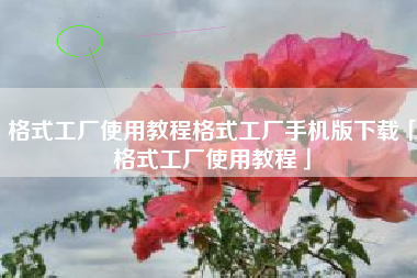 格式工厂使用教程格式工厂手机版下载「格式工厂使用教程」 格式工厂使用教程格式工厂手机版下载「格式工厂使用教程」