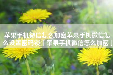 苹果手机微信怎么加密苹果手机微信怎么设置密码锁「苹果手机微信怎么加密」