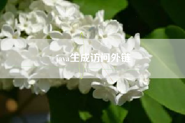 java生成访问外链