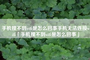 手机搜不到wifi是怎么回事手机无法连接wifi「手机搜不到wifi是怎么回事」